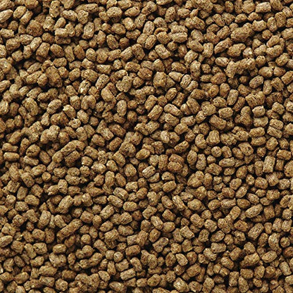 Mazuri | Bearded Dragon Food - Insect Portion of a Complete Diet | 8 Ounce (8 oz) Bag - size: 8 Ounce (Pack of 1)