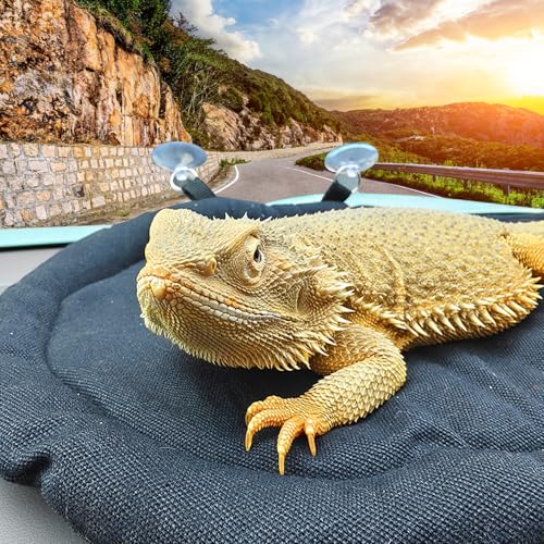Bearded Dragon Bed - Black Reptile Sleeping Window Hammock Cushion, Lizard Couch Canvas Rubber Soft Mat Blanket Pad for Car Carrier, Tank Toys Accessories