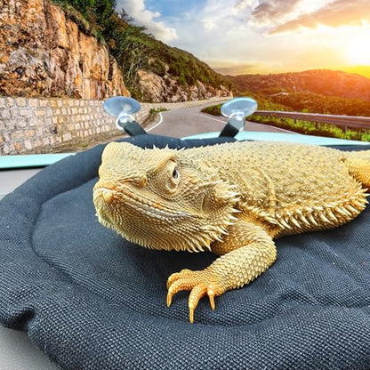 Bearded Dragon Bed - Black Reptile Sleeping Window Hammock Cushion, Lizard Couch Canvas Rubber Soft Mat Blanket Pad for Car Carrier, Tank Toys Accessories