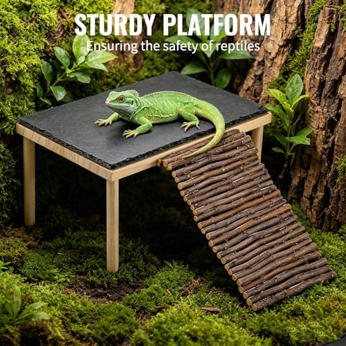 Basking Rock Platform with Climbing Ramp Slate Painted Glossy Black Platform Reptile Resting Area Bearded Dragon Hiding Burrow Reptile Tank Accessory for Tortoises Lizards Toads Geckos