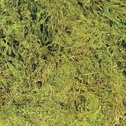 Zoo Med Frog Moss, 80 Cubic-Inches - size: Large