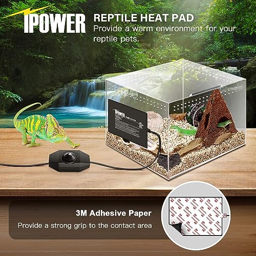 iPower 6 by 8 Inch Reptile Heating Pad with Temperature Adjustable Controller Knob, Under Tank Warmer Terrarium Heat Mat for Reptiles and Amphibians (Pack of 2) - size: 6 X 8 Inch (Pack of 2)