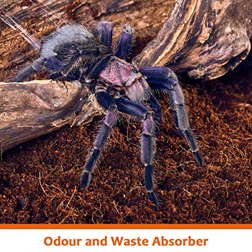 Riare 2 Pack Natural Coconut Fiber Substrate for Reptile- Premium Compressed Coconut Husk Terrarium Bedding for Reptile, Tortoise, Frogs, Snakes Hermit Crabs, Burrowing Animals - color: 2 Pack