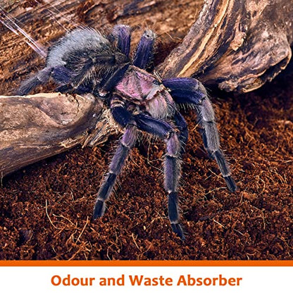Riare 2 Pack Natural Coconut Fiber Substrate for Reptile- Premium Compressed Coconut Husk Terrarium Bedding for Reptile, Tortoise, Frogs, Snakes Hermit Crabs, Burrowing Animals - color: 2 Pack