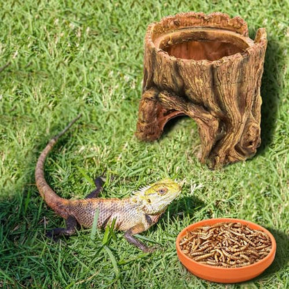 Cididu Reptile Hide Cave Resin, 2 in 1 Reptile Hideout Cave and Food Tray, Reptile Shelter with Detachable Food Bowl, Leopard Gecko Keeper Habitat Help Shedding for Amphibian, Snake, Lizard, Turtle