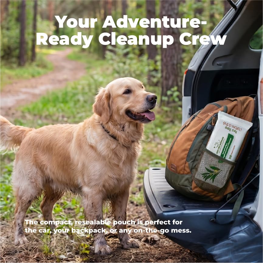 Best Pet Supplies Cleaning Dog Wipes - Cleansing Tea Tree, 100 Count | Tea Tree Scented, Large 8x9" Pet Wipes, Vitamin E, Puppy & Cat Safe, Gentle Grooming, Resealable Pouch Prevents Drying - color: Cleansing Tea Tree, size: 100 Count