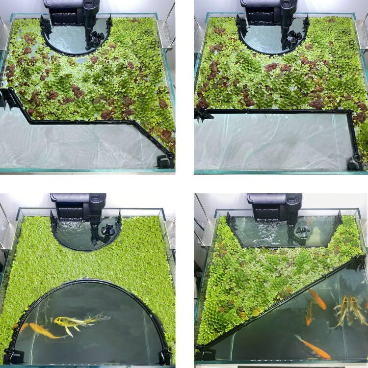 Floating Plant Corral for Aquarium, Fish Tank Accessories to Separate Floating Plants, Automatically Adjusts Height with Water Level, Suitable for All Floating Plants and All Aquariums (Style 3) - size: Style 3