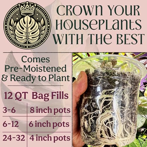 Craft Organic Houseplant Potting Mix, Elite House Plant Soil, Chunky, Well Draining Potting Soil for All Indoor Plants, Tropical Plants & Flowers, Sustainable & Peat Free, Less Prone to Gnats, 12QT - size: 12 quarts
