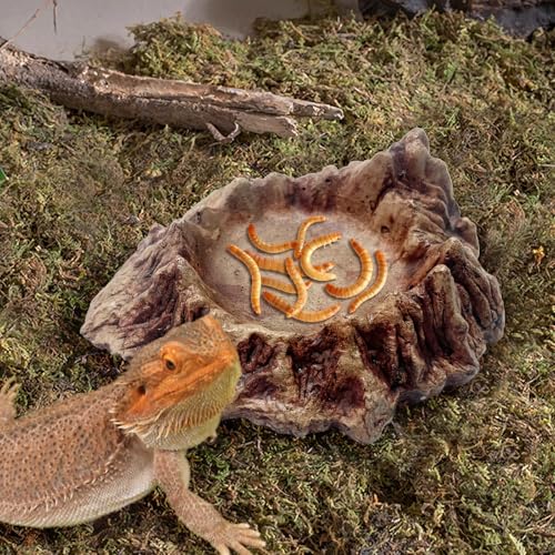Rockery Reptiles Food Bowl, Landscaping Tank Accessory | Amphibian Feeding Bowl ,Small Pets Water Dish Terrarium Decor for Lizards,Gecko,Chameleon,Snake,Tortoise,Brown,1 Piece