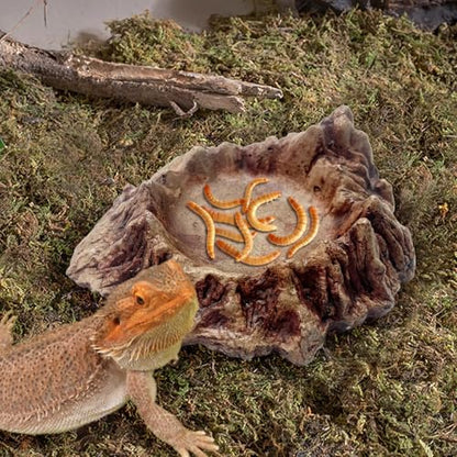 Rockery Reptiles Food Bowl, Landscaping Tank Accessory | Amphibian Feeding Bowl ,Small Pets Water Dish Terrarium Decor for Lizards,Gecko,Chameleon,Snake,Tortoise,Brown,1 Piece
