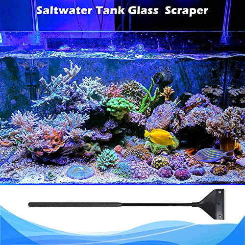 Pronetcus Algae Scraper for Glass Aquariums, Fish Tank Cleaner, Aquarium Algae Scrapers with 10 Stainless Steel Blades. - size: 16.15 Inch
