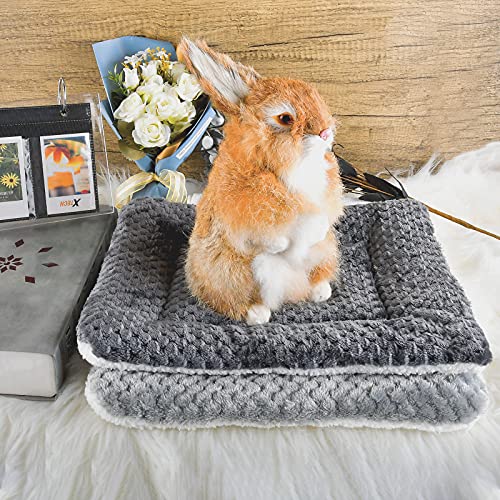 Small Animal Bed Mat, Soft & Warm, Suitable for Guinea Pig, Hamster, Rabbit, Rat and Bearded Dragon (X-Large(13.3''x9.4''), Star Brown) - color: Star Brown, size: X-Large(13.3''x9.4'')