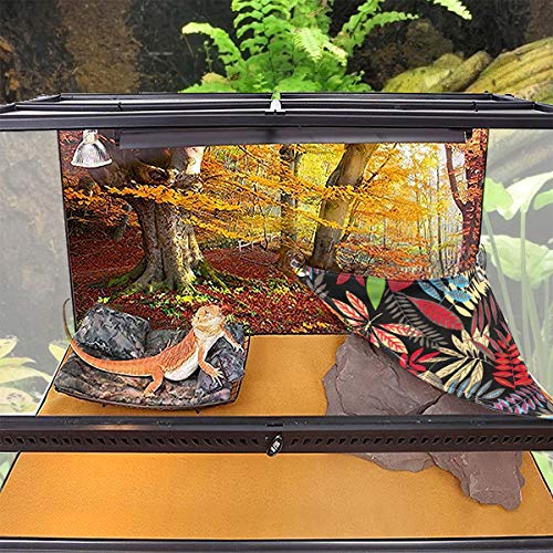 Bearded Dragon Hammock, Reptile Lizard Lounger Ladder Accessories Terrarium Habitat Decor for Large Small Bearded Dragons Geckos Lizards Snakes (Black)