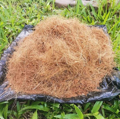 Fast Life Natural Coconut Fiber for Bird Nesting