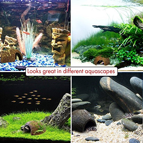 SunGrow Coconut Hut for Crested Gecko, 5x3 Inches Reptile Climbing Hide, Leopard Gecko Tank Cage Habitat Accessories, Smooth-Edged Coconut Shell, for Exercise, Crawling, Perching and Basking Spot