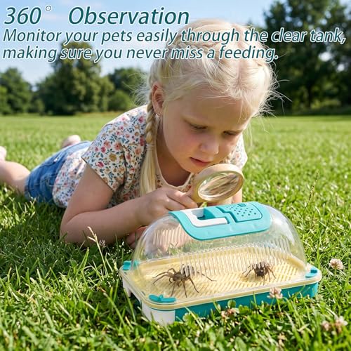 Snail Terrariums Breeding Box, Plastic Habitat Tank Starter Kit for Small Reptile, Rectangle Clear Snail Enclosure with Handle & Air Vents, Feeding Box for Beetles Spider Praying Mantis
