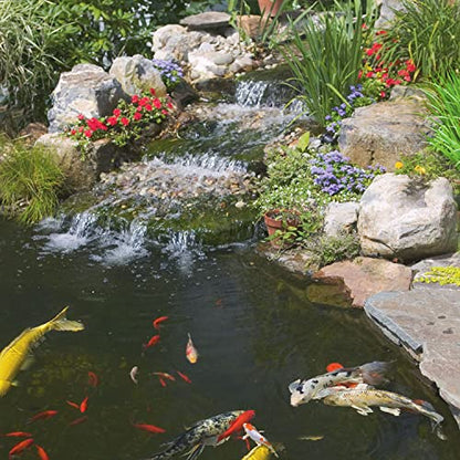 Tetra Pond Sticks Fish Food For Goldfish & Koi, 1 lbs | Healthy Daily Diet For All Pond Fish, Easy To Digest Floating Sticks Promote Clearer Water, Feed When Water Is +50 Degrees - size: 1 Pound (Pack of 1)