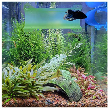 Brand Betta Tunnel (Translucent Light Green) - color: Translucent Light Green