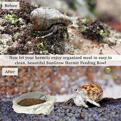 SunGrow Small Hermit Crab Feeding Bowl, for Turtle, Leopard & Crested Gecko, Ball Python, Durable, Multifunctional Decor, Serve as Climbing Toy or Drinking Bowl