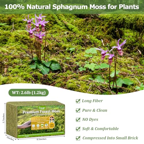 2.6LB Sphagnum Moss for Plants, 50QT Natural Long Fiber Orchid Moss | Drainage & Moisture Retention, Green Plant Moss for Orchid Repotting, Carnivorous, Succulents, Reptile Bedding & Terrariums - size: 2.6LB