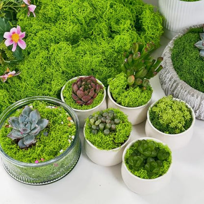 Artificial Moss 17.63oz – Fake Green Moss for Crafts, Potted Plants, Fairy Garden Decor, DIY Table Centerpieces, Wedding Party Decoration