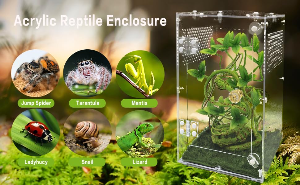 Jumping Spider Enclosure 6x6x10 Inch, Front Opening Tarantula Enclosure | for Spiders Tarantulas & Insects, Reptile Terrarium