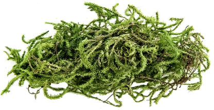 Galápagos (05213) Terrarium Green Sphagnum Moss, Natural, 4 Quart - size: 4 QT