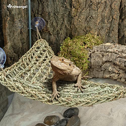Niteangel Bearded Dragon Seagrass Hammock: Triangle 17'' x 12.5'' | Add More Climbing Space & Entertainment - Reptile Lounger for Chameleon Lizards Gecko Snakes Lguana Reptiles Tortoise - size: Triangle 17'' x 12.5''
