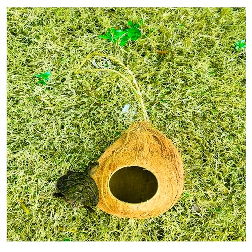 Natural Coconut Reptile Hide with Fiber Loop, Hideout for Gecko, Snake & Fish, Egg Laying Shelter, Hanging Bird House, Perfect for Small Finch, Humming Birds Opening 2” Diameter, 1 Pack (1-Hole)