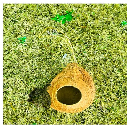 Natural Coconut Reptile Hide with Fiber Loop, Hideout for Gecko, Snake & Fish, Egg Laying Shelter, Hanging Bird House, Perfect for Small Finch, Humming Birds Opening 2” Diameter, 1 Pack (1-Hole)