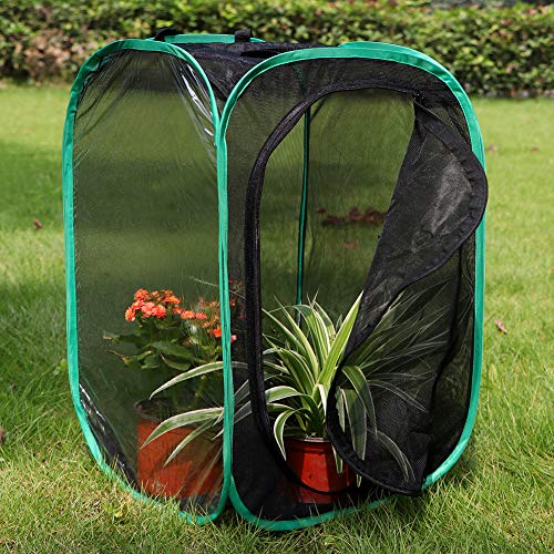 RESTCLOUD Insect and Butterfly Habitat Cage Pop-up 23.6 Inches Tall | Butterfly Terrarium, Enclosure, Tight Mesh - color: Black With Green, size: 15.7 x 15.7 x 23.6 inches