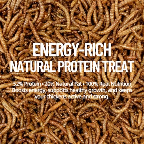 10LB Premium Non-GMO Dried Mealworms - High-Protein Natural Feed & Chicken Treats for Chickens, Ducks, Wild Birds, Quails & Reptiles - Support Egg Production & Feather Growth - size: 10 Pound (Pack of 1)