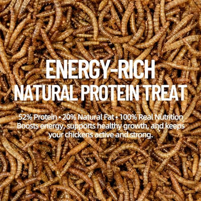 10LB Premium Non-GMO Dried Mealworms - High-Protein Natural Feed & Chicken Treats for Chickens, Ducks, Wild Birds, Quails & Reptiles - Support Egg Production & Feather Growth - size: 10 Pound (Pack of 1)