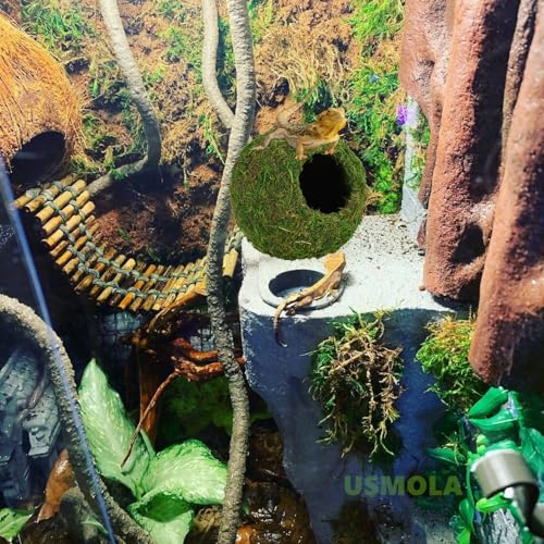 USMOLA Mossy Caves, Artificial Green Moss Caves Hide for Pet Reptile Frogs and Snakes, Terrarium & Vivarium Decor, Crested Gecko Tank Decor (6" - Woodland Green)