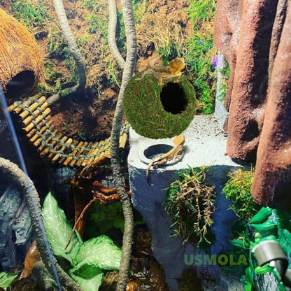 USMOLA Mossy Caves, Artificial Green Moss Caves Hide for Pet Reptile Frogs and Snakes, Terrarium & Vivarium Decor, Crested Gecko Tank Decor (6" - Woodland Green)