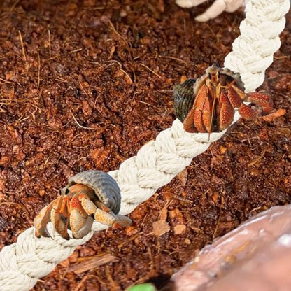 kathson 2 PCS 26 Inches Hermit Crab Climbing Toys,Reptile Vines Toy Hermit Crab Rope Ladder Bendable Hermit Crab Supplies Tank Terrarium Accessories for Hermit Crabs Lizards Leopard Geckos - color: 【Color：White】