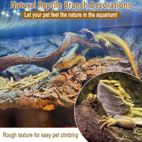 Reptile Decor 4PCS Natural Forest Branch Terrarium Habitat Wood Decoration Lizard Climbing Tree Branch for Bearded Dragon Gecko Snake Frog Chameleon Spider