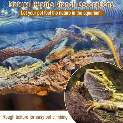 Reptile Decor 4PCS Natural Forest Branch Terrarium Habitat Wood Decoration Lizard Climbing Tree Branch for Bearded Dragon Gecko Snake Frog Chameleon Spider
