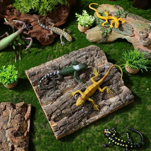 SHINEOFI Cork Bark Reptile Terrarium Background 4 Pcs Fish Tank Decor Set Natural Bark Pieces for Gecko Lizard Frog Bearded Dragon Aquarium Decorations 5.90 X 5.90 X 0.78 in