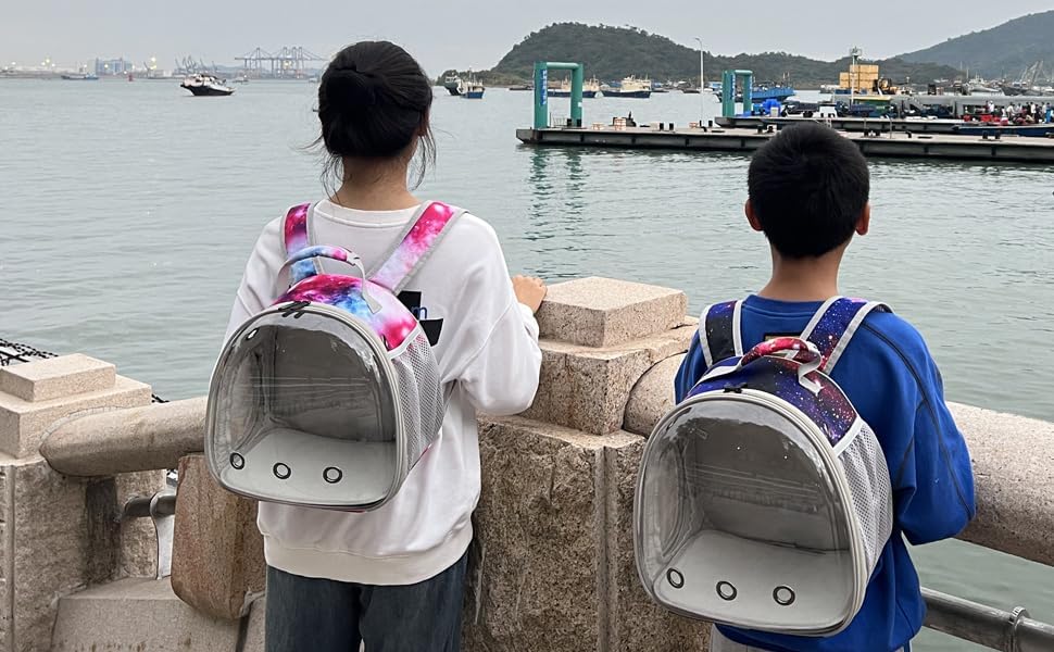 Guinea Pig Carrier Backpack, Bearded Dragon Backpack, Reptile Lizard Clear Space Capsule Bubble Astronaut Window Backpack Carrier for Bunny Hedgehog Rabbit Hamster (Galaxy Blue) - color: Galaxy Blue