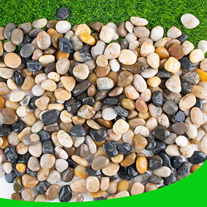 Pebbles for Plants 7 lb Natural River Rocks for Garden Outdoor Aquariums Gravel 1-1.5 Inches - size: 7LB, style: Colour
