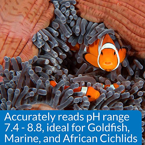 API HIGH RANGE PH TEST KIT 160-Test Freshwater and Saltwater Aquarium Water Test Kit - size: 150-watt halogen bulb, style: High Range pH