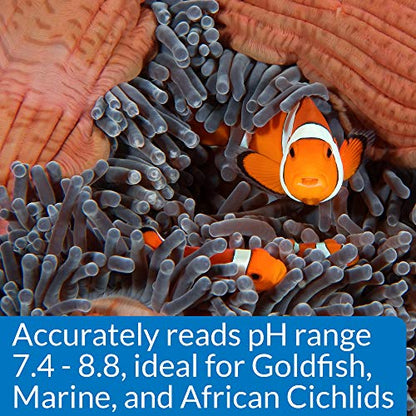 API HIGH RANGE PH TEST KIT 160-Test Freshwater and Saltwater Aquarium Water Test Kit - size: 150-watt halogen bulb, style: High Range pH