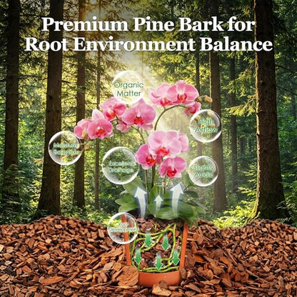 30 QT Organic Orchid Potting Bark, Natural Bark Growing Medium | For Orchids, Houseplant & Potted Plant, Improves Drainage, Root Health & Garden Soil Structure, Balanced Moisture Retention