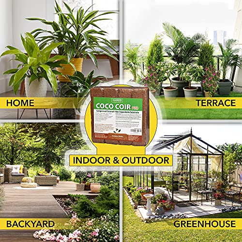 Harris Coco Coir Pith, 4 Bricks Expand to 9 Gallons of Coconut Coir, Coconut Fiber