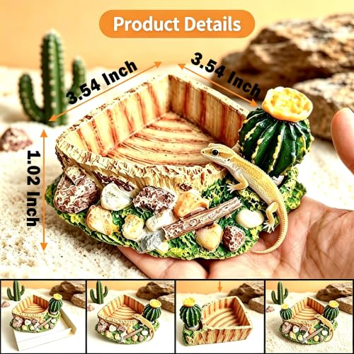 Reptile Food Water Dish, Aquarium Reptile Feeding Dish Bowl for Tortoises Turtles Lizards, Perfect for Gecko, Bearded Dragon, Snake, Frog, Ball Python
