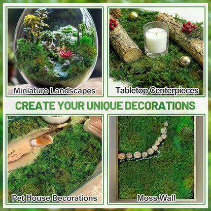 35oz Jumbo Pack Natural Green Moss for Plants Indoor - Bulk Dried Forest Real Moss for Crafts, Artificial Fairy Gardens, Mosswall, Glass Terrariums, Floral Design, Home Decor - style: 35oz