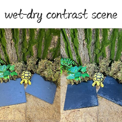 Reptile Basking Platform 2Pcs 6.0''x6.0'' Turtle Rock Plate Slate Feeding Food Dish Bowl Bathing Rest Terrace for Chameleon Lizard Bearded Dragon Gecko Snake Frog Newt (6.0''/15CM) - size: 6.0 inches