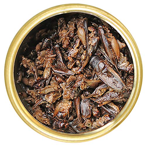 Canned Crickets (1.2 oz.) - Healthy High Protein Insect Treat - Hedgehogs, Sugar Gliders, Reptiles, Wild Birds, Chickens, Lizards, Bearded Dragons, Skunks, Opossums, Fish, Amphibians, Turtles