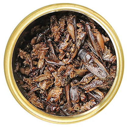 Canned Crickets (1.2 oz.) - Healthy High Protein Insect Treat - Hedgehogs, Sugar Gliders, Reptiles, Wild Birds, Chickens, Lizards, Bearded Dragons, Skunks, Opossums, Fish, Amphibians, Turtles